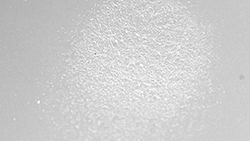 PROPHYflex4_Strahlflaeche_KaVo.jpg